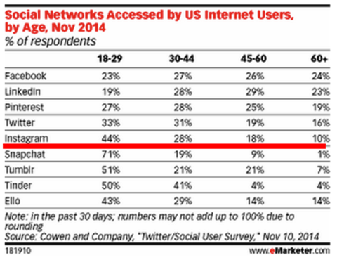 rețea socială accesată de utilizatori din SUA de către age emarketer 2014