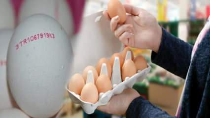 Cum se înțelege oul organic? Ce înseamnă codurile oului?