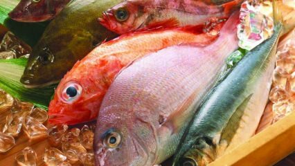 Efectele peștilor asupra imunității! Care sunt avantajele peștelui? Cum să consumi cel mai sănătos pește?