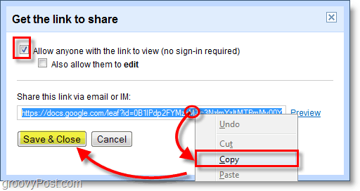 Captura de ecran Google Docs - copiați linkul dvs. apoi salvați și închideți