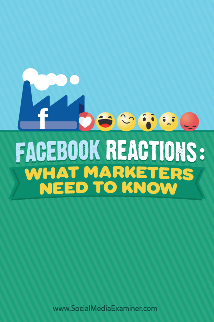 Reacții Facebook: Ce trebuie să știe specialiștii în marketing: Social Media Examiner