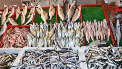 Cum să elimini peștele toric? Trucuri pentru extragerea peștilor torici