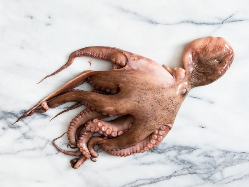 Cum se curăță și se gătește caracatița acasă? Cea mai ușoară tehnică de gătit a caracatiței