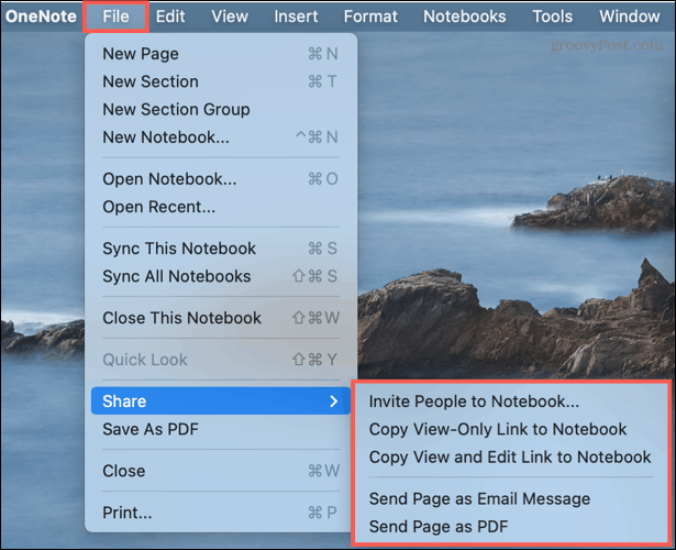 Opțiuni de partajare în OneNote pe Mac