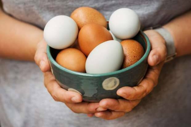 Cum se face analiza ouălor organice?