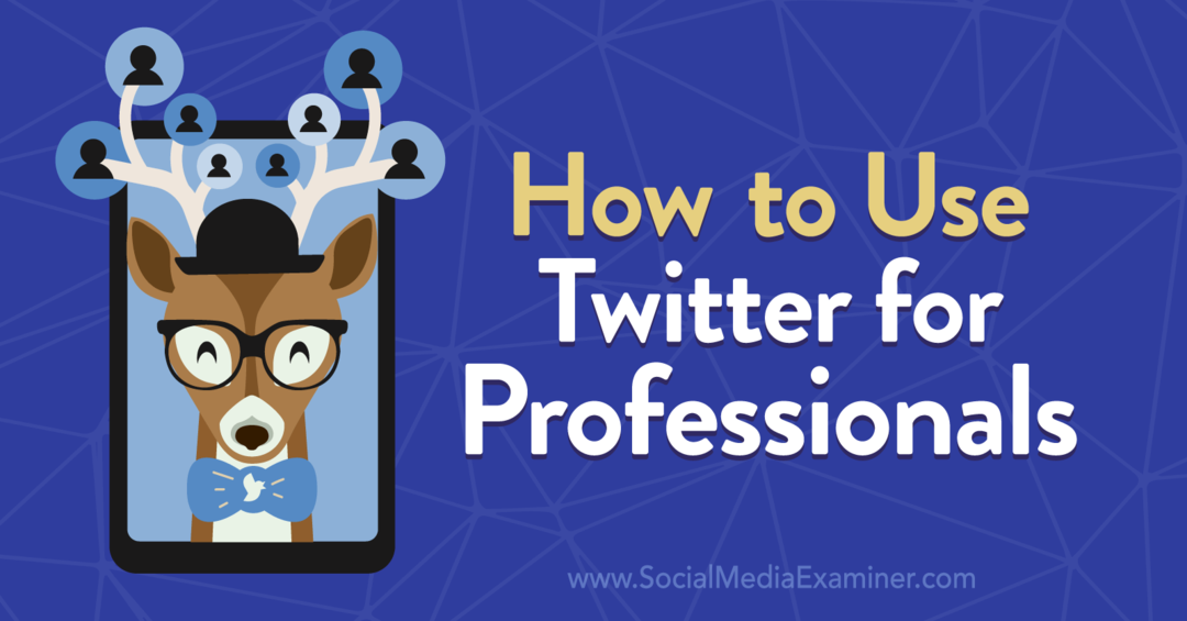 Cum să utilizați Twitter pentru profesioniști de Anna Sonnenberg pe Social Media Examiner.