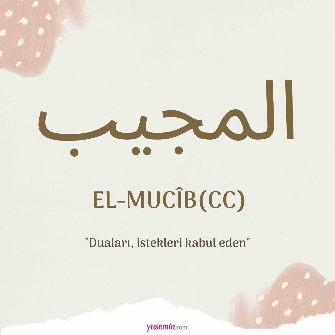 Ce înseamnă al-Mujib (cc)?