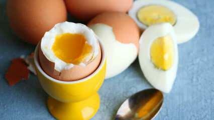 Care sunt efectele consumului de 2 ouă în sahur în fiecare zi asupra organismului?