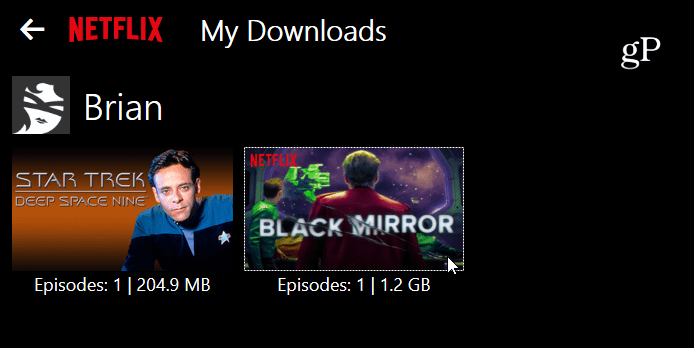 Descărcările mele Netflix