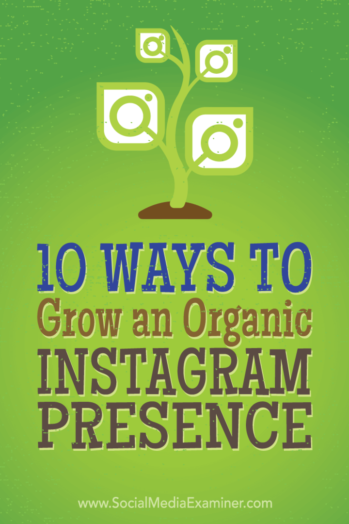 Sfaturi cu privire la 10 tactici, cei mai mari marketeri au folosit pentru a câștiga organic mai mulți adepți Instagram.