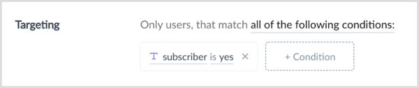 Faceți clic pe + Condiție pentru a vă segmenta publicul.