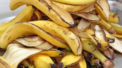 Care sunt avantajele bananei? Câte tipuri de banane există? Utilizări necunoscute ale coajei de banane! 