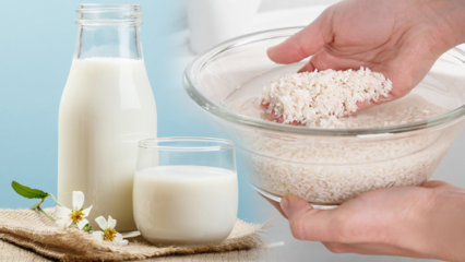 Cum se prepară lapte de orez care arde grăsimile? Metoda de slăbire cu lapte de orez