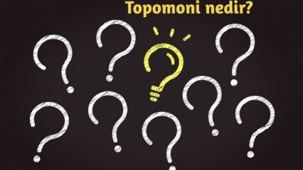 Ce este topomonia, ce examinează? Care sunt beneficiile științei topomonice? 