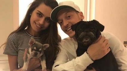 Mesut Özil sărbătorește logodnica lui Amine Gülșe