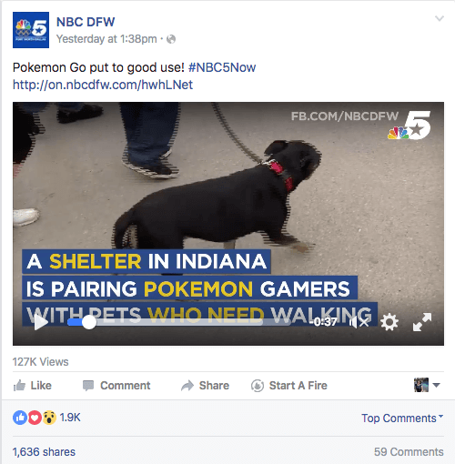 pokemon go muncie adăpost pentru animale