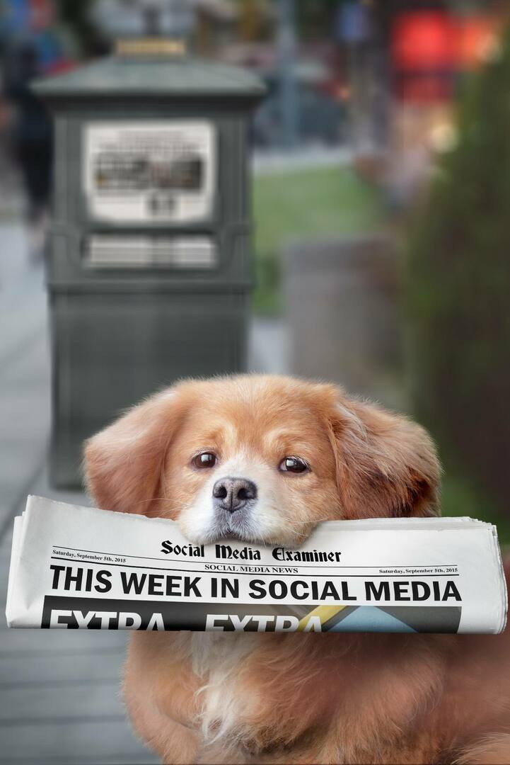 Meerkat introduce Hashtag-urile live: săptămâna aceasta în rețelele sociale: examinatorul rețelelor sociale