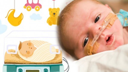 Ce este un copil prematur? Câte săptămâni bebelușul va fi prematur? Caracteristici premature ale bebelușului