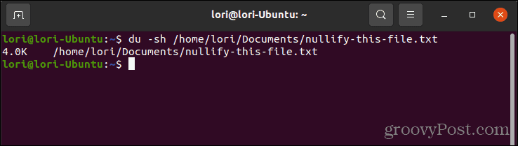 Folosind comanda du pentru a verifica dimensiunea unui fișier în Linux
