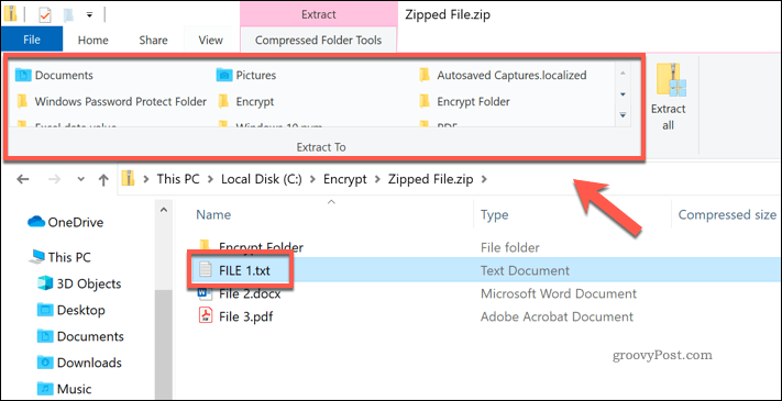 Extragerea unui fișier individual dintr-un fișier Zip în Windows File Explorer