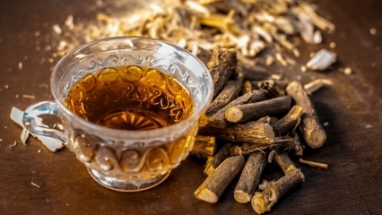 Care sunt avantajele lichiorului? Cum se prepară ceaiul din rădăcină de lichior Pentru ce este licorici?