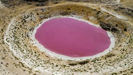 Culoarea lacului Meyil Obruk a devenit roz!