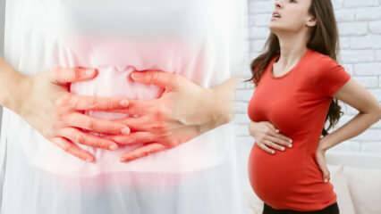 Cum să înțelegeți părțile avortului spontan în timpul sarcinii? Realizarea de ...