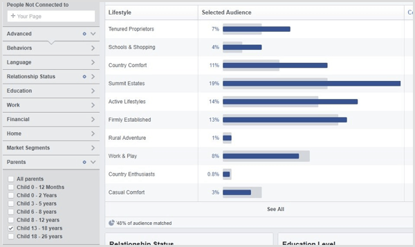 Vizualizați Facebook Audience Insights pentru un public personalizat.