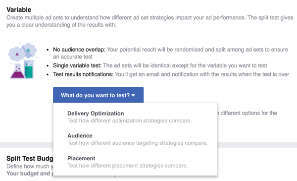 Selectați variabila pe care doriți să o testați cu anunțul dvs. Facebook.