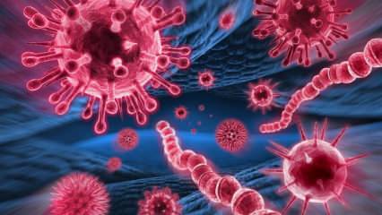 Ce este virusul Mers? Care sunt simptomele virusului Mers? Cum se transmite virusul Mers?