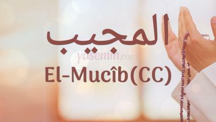 Ce înseamnă al-Mujib (c.c)? Care sunt virtuțile numelui Al-Mujib? Esmaul Husna Al-Mujib...