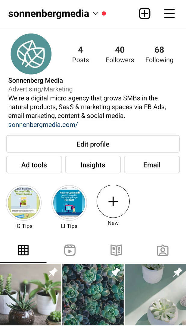 instagram-post-reels-pinning-funcții-sonnenbergmedia-exemplu-1