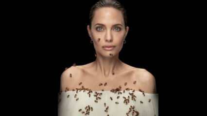 Angelina Jolie în lentilă cu albine pentru albine!