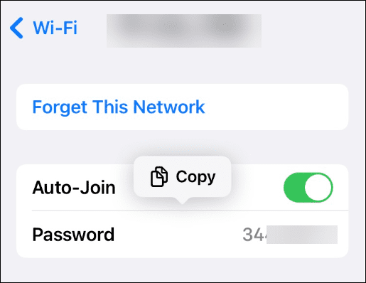 Vizualizați parolele rețelei Wi-Fi salvate pe iPhone