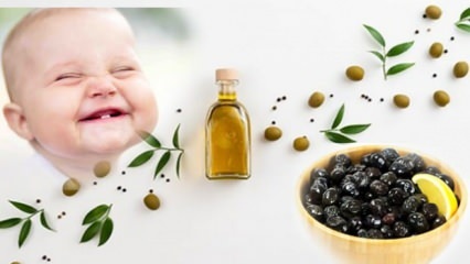 Prepararea măslinelor cu puțină sare pentru bebeluși! În ce lună ar trebui să se dea măsline copiilor?