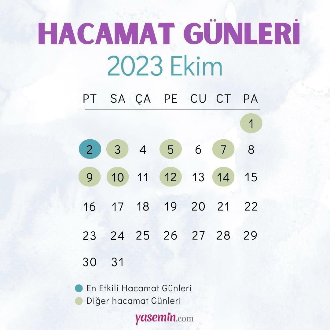 Când ar trebui să se facă cuparea? Cele mai eficiente zile de cupă în octombrie 2023