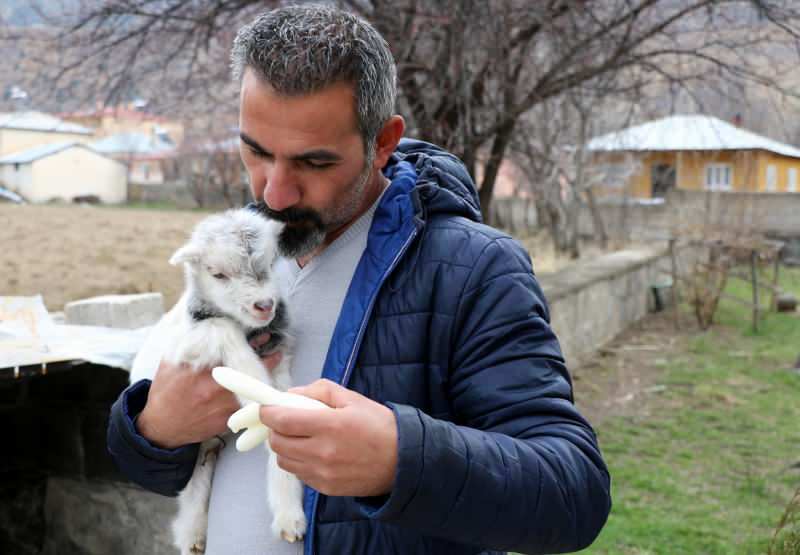 Murat Aydemir a salvat viața puiului de capră