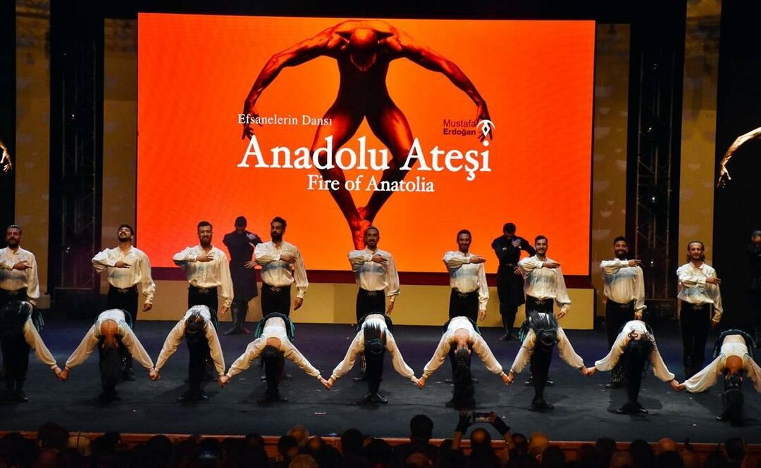  2. Grupul de dans Korkut Ata Turkish World Film Festival Fire of Anatolia
