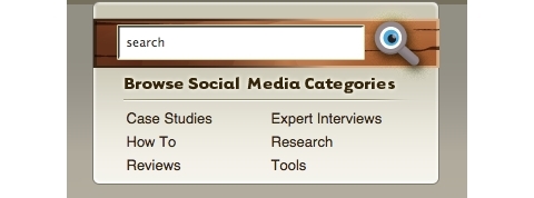 categorii examinator social media 2009