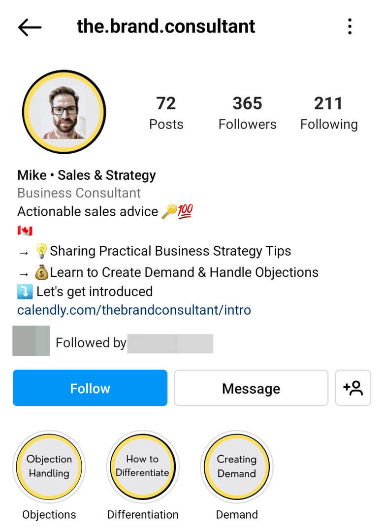 instagram-bio-the.brand_.consultant-furnizor-de-servicii-exemplu
