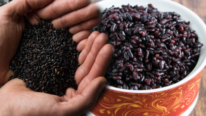 Care sunt avantajele orezului negru? Care este celălalt nume de orez negru? Cum se consumă orez negru?