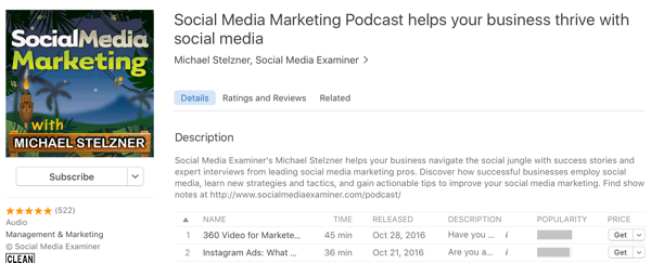 podcast de marketing social media cu michael stelzner