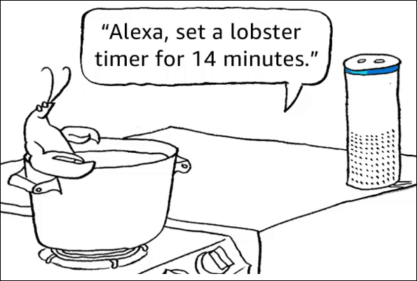 Cronometrele Alexa Echo