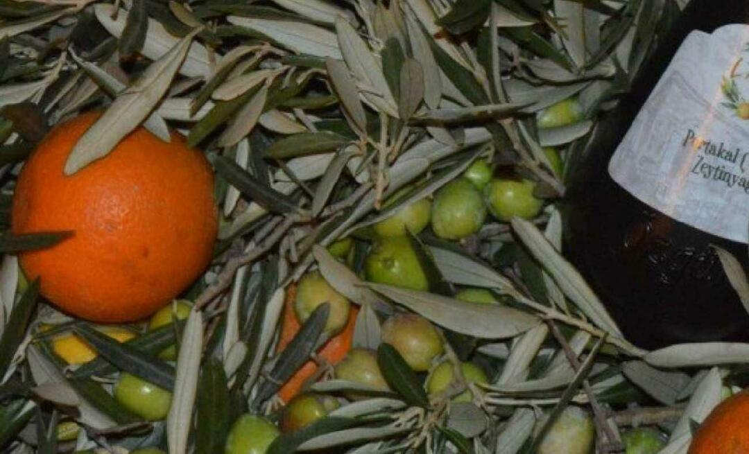 Femeile antreprenoare din Balıkesir au produs ulei de măsline portocale!