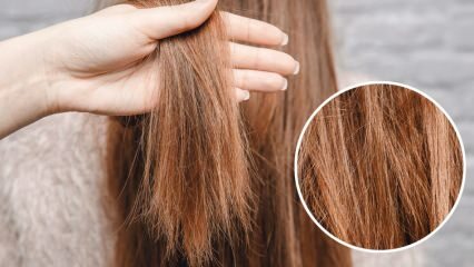 Ce se face părului arzător de la mijloc? Cum trebuie menținut părul tratat?