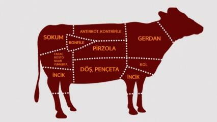 Care sunt părțile cărnii de vită? Ce carne este tăiată din ce regiune?