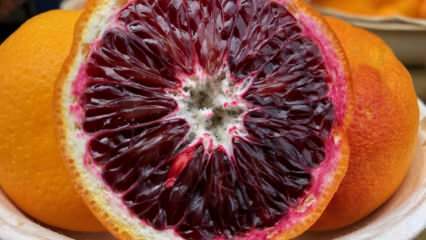 Bogat în antioxidanți: ce sunt portocalele din sânge? Care sunt beneficiile portocalelor din sânge?