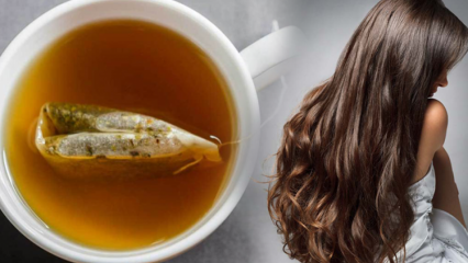 Care sunt avantajele ceaiului verde pentru păr? Reteta de masca de piele de ceai verde