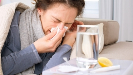 Care sunt alimentele care sunt bune pentru răceli și gripă? 5 alimente care previn gripa ...