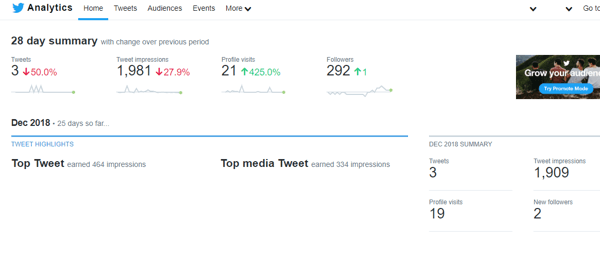 Exemplu de rezumat Twitter Analytics pe 28 de zile.